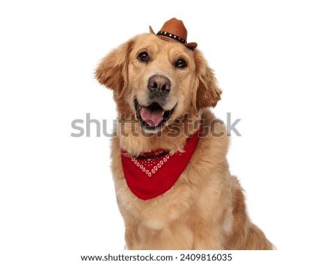 close up picture of adorable golden retriever dog with hat and red bandana panting and looking forward while sitting in front of white background