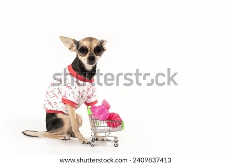pet shop delivery, dog store, animal accessories, funny happy dog in a T-shirt and sunglasses with a supermarket cart on a white background, copy space