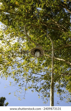 Photo of a streetlight that went out during the day