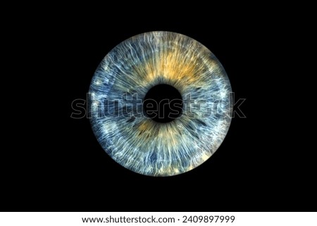 Close up of eye iris on black background, macro, photography Royalty-Free Stock Photo #2409897999