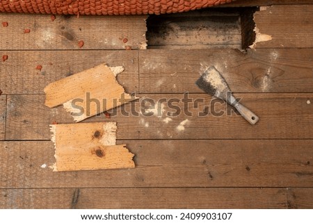 A broken floorboard infested with woodworms, the wood-eating larva of many species of beetle, in a bedroom floor, indoors, causing serious damage to the wood. Top view.