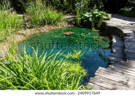 Ecosystem and wetland - creation of a pond surrounded by plants in a natural garden Royalty-Free Stock Photo #2409917649
