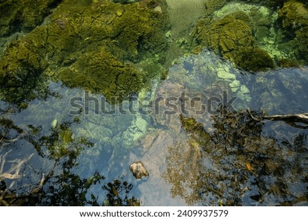 Transparent green and blue stream the tree roots and rocks under the water. Thapom Klong Song Nam in Krabi, Thailand Royalty-Free Stock Photo #2409937579