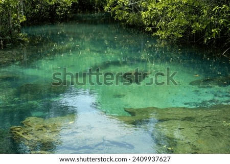 Transparent green and blue stream the tree roots and rocks under the water. Thapom Klong Song Nam in Krabi, Thailand Royalty-Free Stock Photo #2409937627