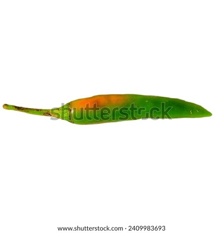 Green Chilli Png Image Copyright Free
