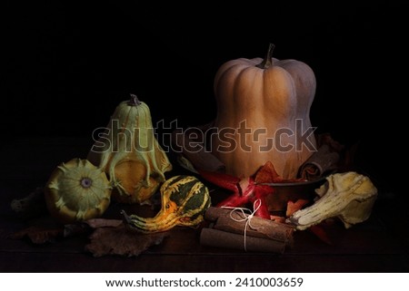 composition of butternut squash and ornamental pumpkins and cinnamon