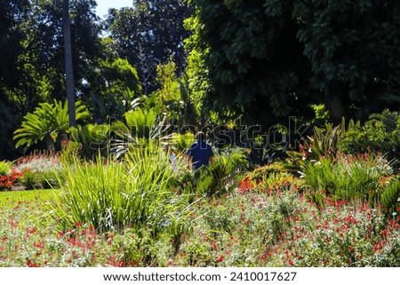 a beautiful summer landscape at Huntington Library and Botanical Garden with lush green trees, plants and grass, people walking and blue sky in San Marino California USA