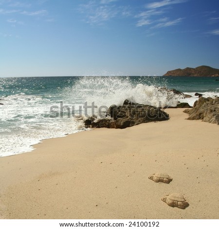 A lonely beach and waves