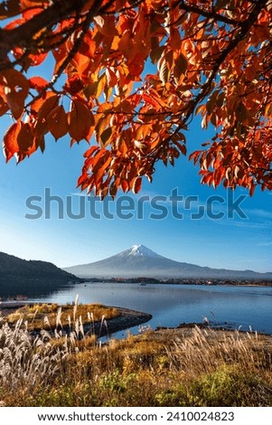 mt.Fuji in kawaguchiko lake,Kawaguchiko lake of Japan,Mount Fuji, Kawaguchi Lake, nature landscape view Royalty-Free Stock Photo #2410024823