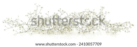 Small white Gypsophila flowers isolated on white background.
Fluffy and cloud-like Gypsophila, commonly known as 'Baby's breath'. Royalty-Free Stock Photo #2410057709