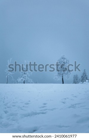 
Icy and snow-covered landscape in the fog in Winterberg in North Rhine-Westphalia Germany Royalty-Free Stock Photo #2410061977