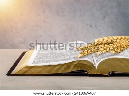 Ears of barley and holy bible, Christian spiritual Royalty-Free Stock Photo #2410069407