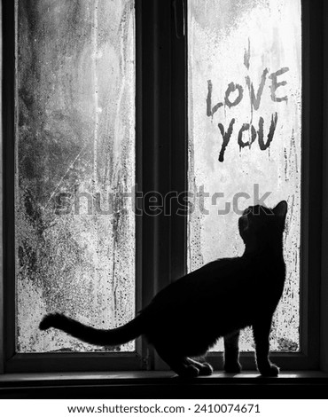 Young cat looking out the foggy window of vintage rural house, standing on windowsill, curious about i love you hand written inscryption. Cold morning romantic and cozy scenery. Black and white photo.