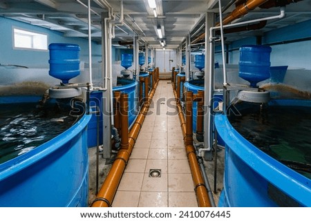 Round water basins with automatic feeding and water recirculation for growing fish in fish farm. Royalty-Free Stock Photo #2410076445