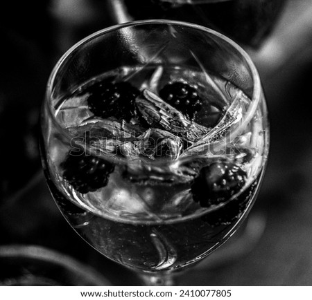 Black and white alcoholic blackberry beverage in delicious drink textures