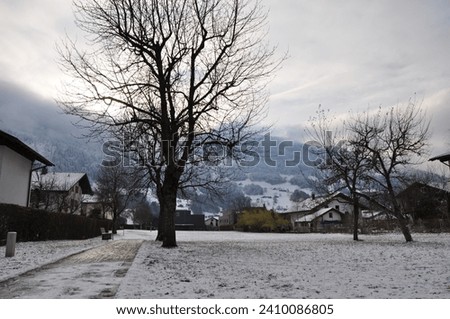 beautiful winter snowy landscape photo 