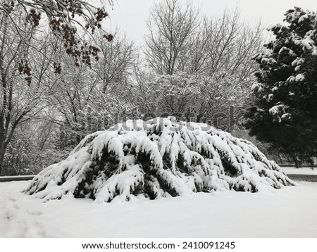 snow winter white cold landscape picture background table tree green night black soil leaf nature happiness positive turkey pure white snowball extreme natural global warming rain mud warm up snowfall