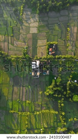 Ubud and wonderfull nature can you find here while holidays
