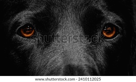 My eyes are on you Royalty-Free Stock Photo #2410112025