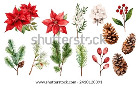 Watercolor holiday plants, poinsettia and pine corn  branches clipart collection.  Isolated on white background vector illustration set. 