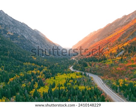 Mountain Valley in the fall autumn with leaves changing colors drone shot