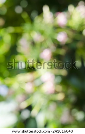 Abstract Pink flowers blur Backgrounds.
