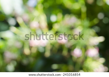 Abstract Pink flowers blur Backgrounds.