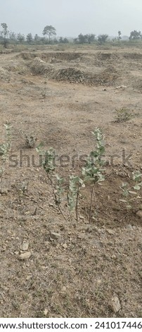 Landscape, surface area, brown, empty land,barren land, brown , wild land  Royalty-Free Stock Photo #2410174463