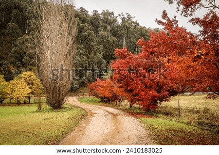 Dirt path amongst the autumn colours Royalty-Free Stock Photo #2410183025