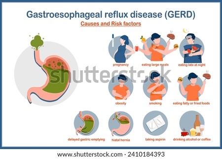 Medical vector illustration in flat style.Causes and risk factors of GERD.Pregnancy,obesity,smoking,eating large meals,eating late at night,hiatal hernia,delayed gastric emptying,drinking alcohol. Royalty-Free Stock Photo #2410184393