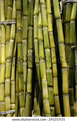 Sugarcane background Royalty-Free Stock Photo #24101935