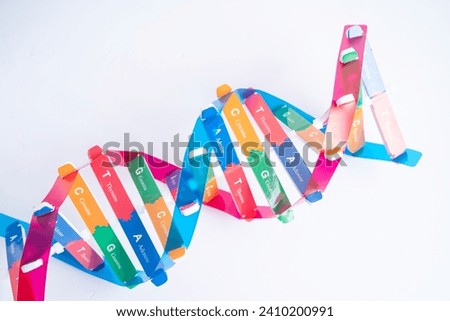 DNA or Deoxyribonucleic acid is a double helix chains structure formed by base pairs attached to a sugar phosphate backbone. Royalty-Free Stock Photo #2410200991