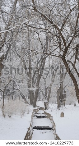 Snowy view with small stream and trees. Seoul, 2023