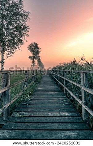 A path across the moorland Royalty-Free Stock Photo #2410251001