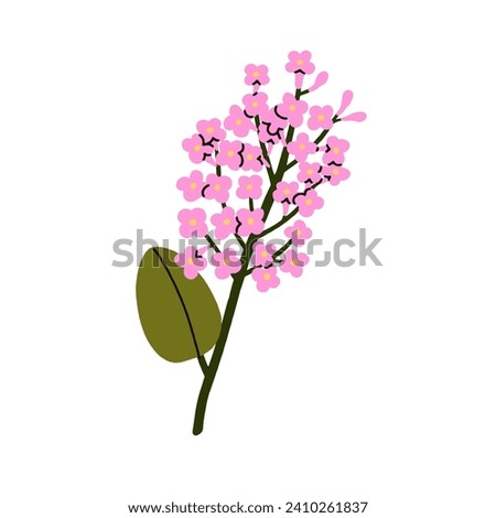 Lilac, floral plant. Spring flower branch. Blossomed twig, sprig. Botanical design element, delicate decoration. Blooms, leaf on stem. Flat vector illustration isolated on white background