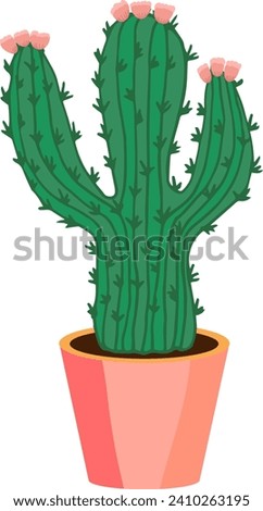 blooming cactus. Vector illustration. House plant in a pot.