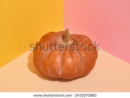 Ripe pumpkin for making healthy meals. Harvest and Halloween.