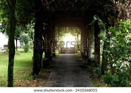 Old garden corridor with plants