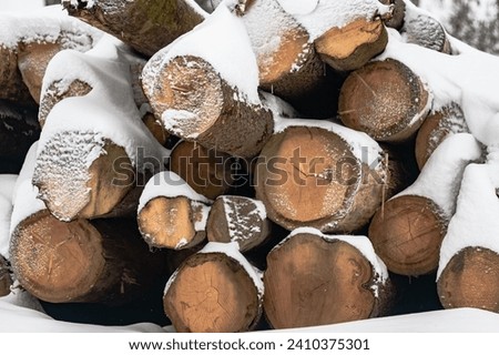Pile of firewood under the snow ready for heating, closeup photo, Stack of logs blanketed in snow, ready for winter warmth.
