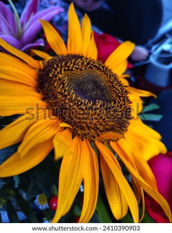 Picture of bucket of flower with more focus on the Sunflower 