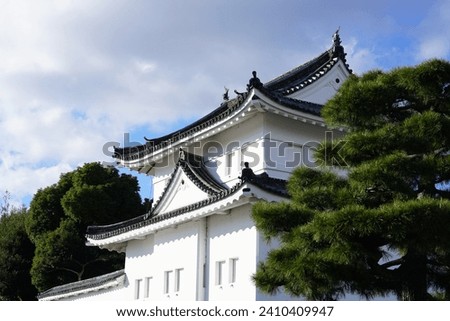 Japan royal palace tower found in Tokyo