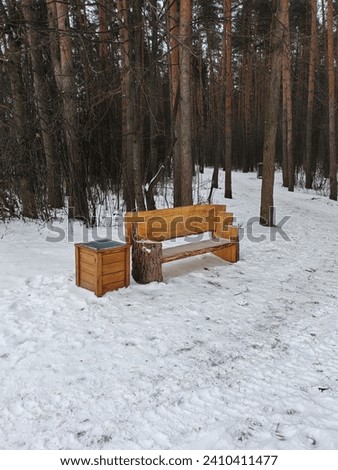 Wooden bench with a backrest in a pine forest with snow