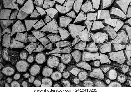 Photography on theme big wall of stacked oak tree logs in cracks, photo consisting of old oak tree logs on nature background, oak tree logs from textured round annual rings with stripes various size