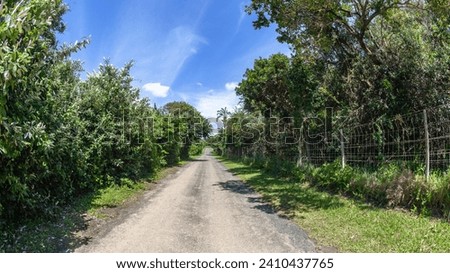 Long straight asphalt road middle perspective photograph with tropical trees vegetation along fence covering countryside route. Royalty-Free Stock Photo #2410437765