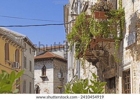 Picture on a stone balcony on a historic facade with flowers and green plants in daylight