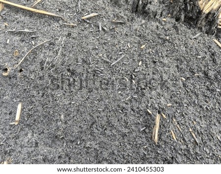 Photo of burnt straw ash that can be used as a graphic design