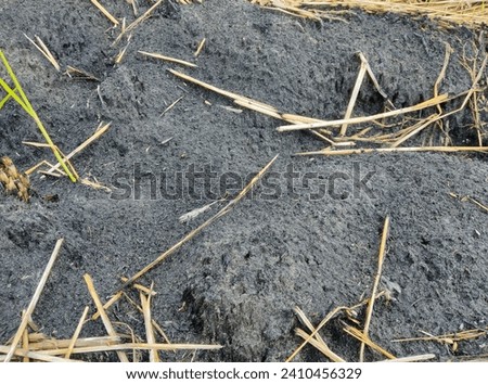 Photo of burnt straw ash that can be used as a graphic design