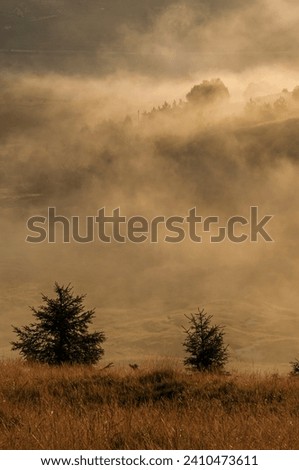 morning sunrise over the mountains, fogy and cloudy morning with sun, rays and shadows over the mountains. landscape image