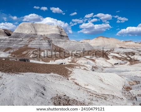 Scenic landscape along Blue Mesa Trail in Petrified Forest National Park - Arizona, USA Royalty-Free Stock Photo #2410479121
