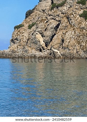 Boattrip at the Coastline near Scilla  Royalty-Free Stock Photo #2410482559